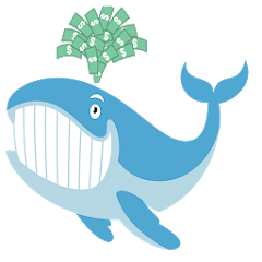 Unusual Whales